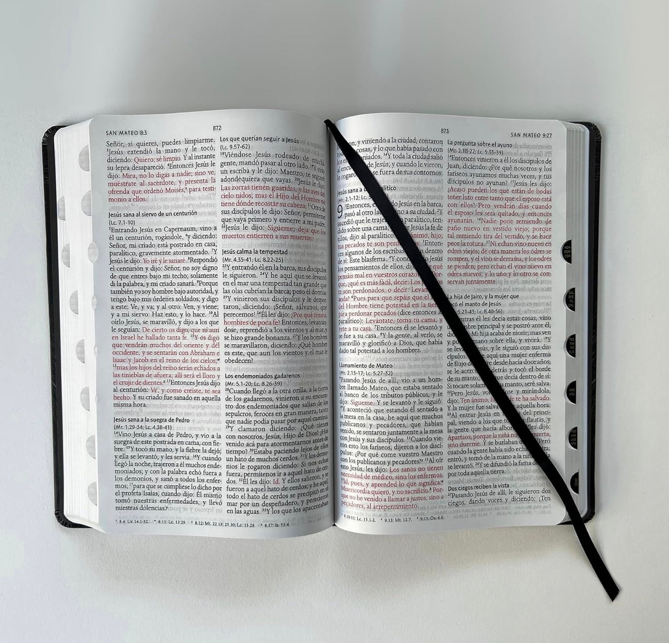 Biblia RVR 1960 letra grande tamaño manual, tapa dura León de Juda
