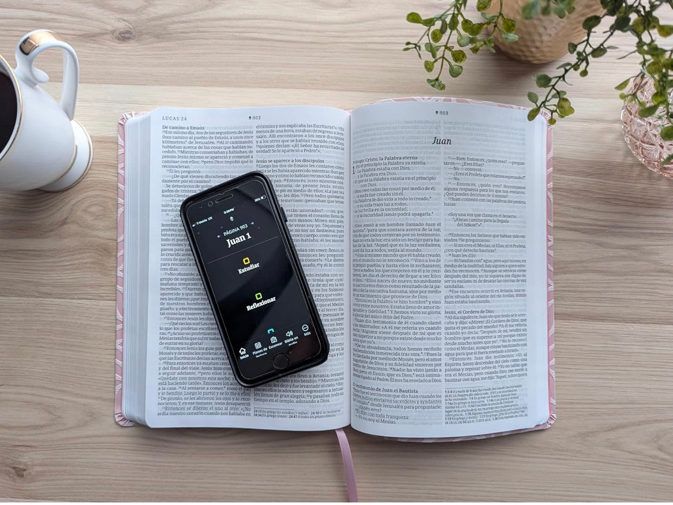 Biblia valor prémium NTV, letra grande con Filament (SentiPiel, Rosa) (Spanish Edition)