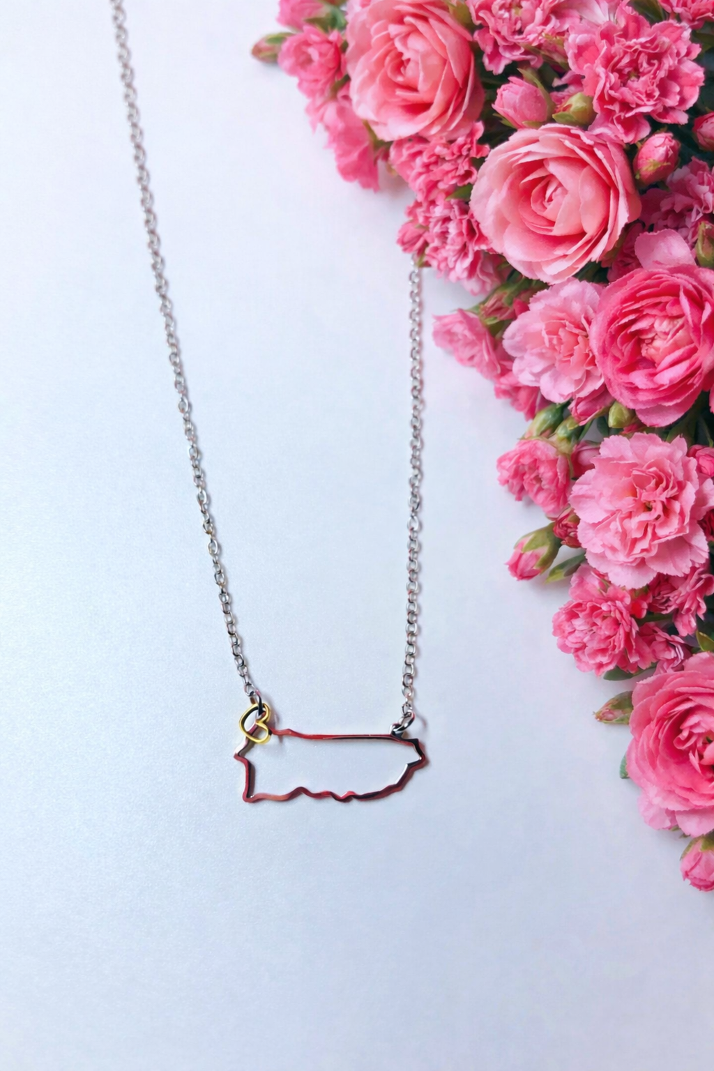 Mi corazon esta en mi isla