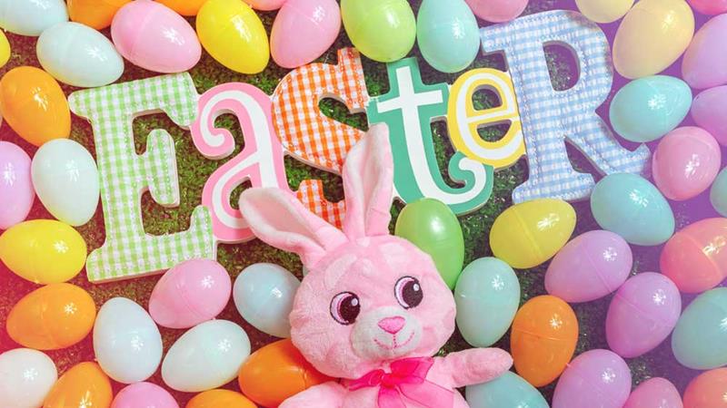Easter 🐣 Bosita de Wax