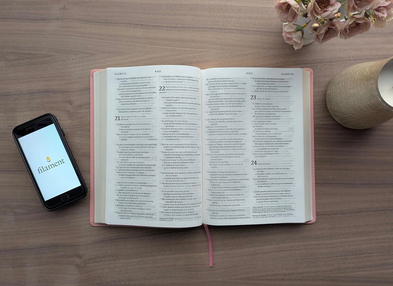 Biblia ultrafina NTV, letra grande con Filament (SentiPiel, Flores rosa, Letra Roja) (Spanish Edition)