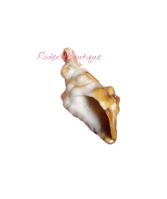Caracol Charm