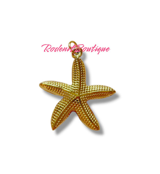Estrella de Mar Grande Charm